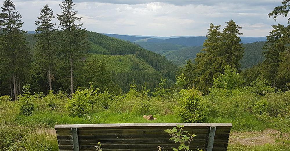 Villa Gast - Gästehaus Astenblick auch für grosse Gruppen geeignet Winterberg Exterior foto